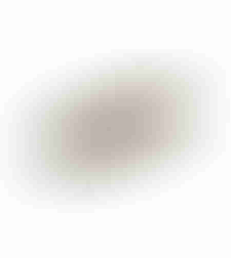 MANDY TRAY ALUMINIUM CHAMPAGNE 31x17xH1cm IN