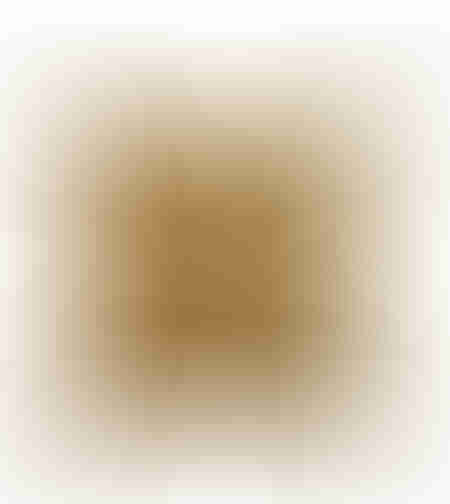 NIHAL DECOR CUSHION 45x45 FABRIC MUSTARD POLYESTER