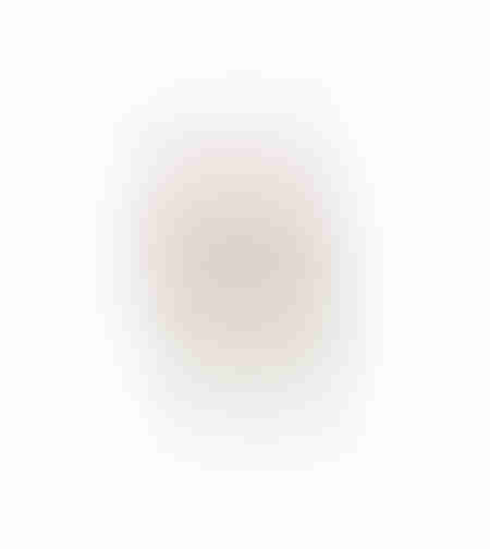 AROMA BLISS ARTIFICIAL FLOWER FOAM PV PINK GREEN