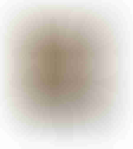 SABLE 10 DECOR CUSHION COTTON BEIGE 45x45cm E1 IN