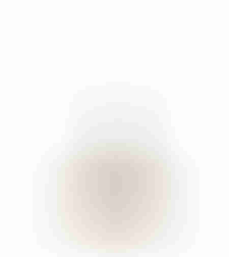 XMAS FELICITY TREE ALUMINIUM WOOD MANGO SILVER NAT