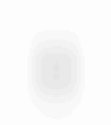 DAINTY CHRISTMAS DECORATION TREE 27.5x13.5x53 METAL WHITE