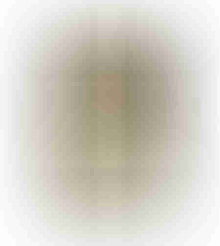WILD SOUL 2 PAINTING MDF GOLD WHITE GLASS FRAME GO