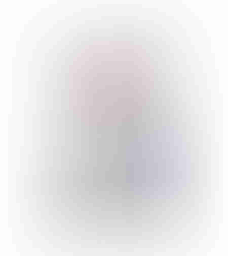 COCKATOO PAINTING CANVAS WHITE GREY WOOD PINK 60x9