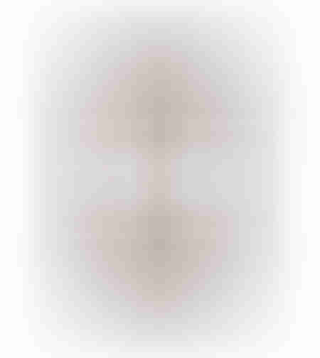 MISTRAS MIRROR METAL NATURAL BLACK 80xH120cm E1 PRC