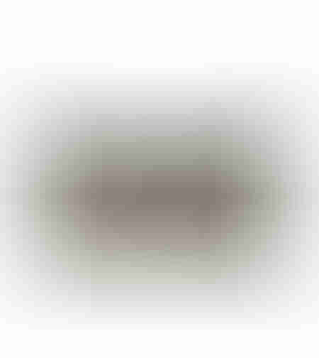 BLACK PEARL DECOR CUSHION COTTON VISCOSE BLACK WHI