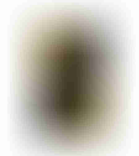 CARO CARPET COTTON MULTICOLOR 120x180 IN