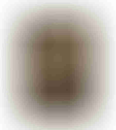 CHENGO BROWN PAINTING CANVAS BROWN BEIGE WOOD FRAM