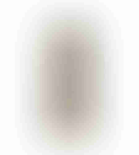 MR.ZEBRA PAINTING CANVAS MULTICOLOR WOOD 30x60xH1,