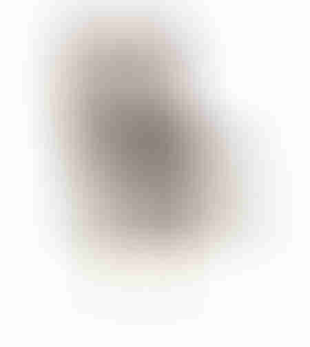 LOUIS CHAIR WOOD ELM TAUPE FABRIC NATURAL E1 PRC