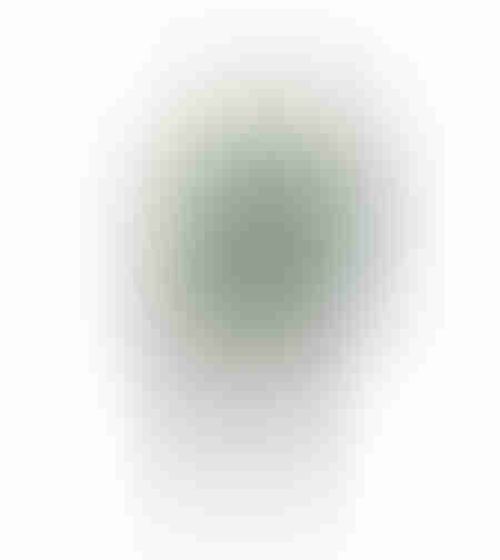 ISOGUDE ARTIFICIAL PLANT PVC PU GREEN H215cm PRC