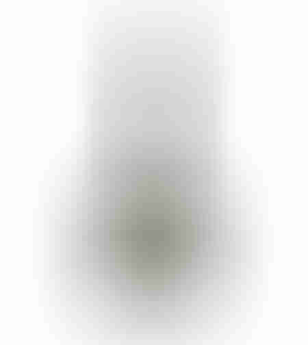 GLAM VASE ALUMINIUM SILVER NICKEL 24,25x7xH57,25cm