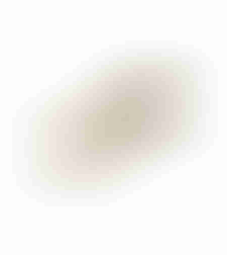 ORLY TRAY ALUMINIUM CHAMPAGNE 44x15xH3cm IN