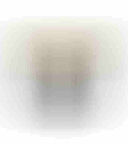 JESIRA DECO FACE POLYRESIN GOLD BLACK 28x14xH17,5c