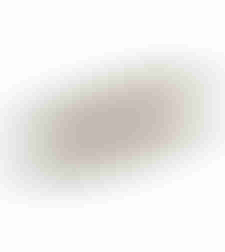MANDY TRAY ALUMINIUM CHAMPAGNE 59x27xH1cm IN