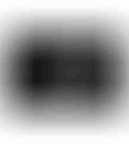 CRANE 1 PAINTING CANVAS BLACK GREY WOOD WHITE 122,