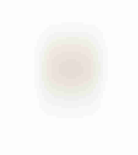 AROMA BLOSSOMS ARTIFICIAL FLOWER FOAM PVC BRON GR