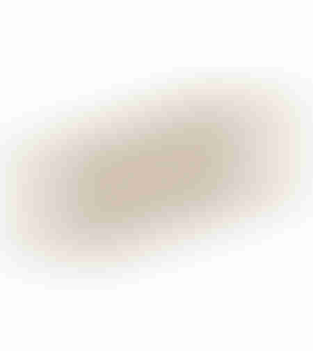 PAGRI BOWL ALUMINIUM GOLD 30x16xH4cm IN