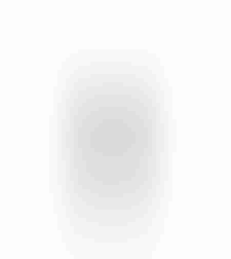 XMAS VEON A DECO WHITE SILVER H40cm PRC