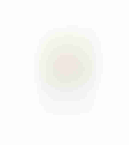 AROMA DELIGHTS ARTIFICIAL FLOWER FOAM PVC CREAM GR
