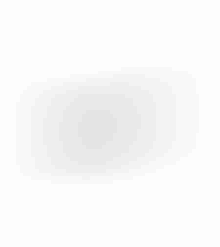 RICUS BOWL ALUMINIUM SILVER 44x13xH4cm IN
