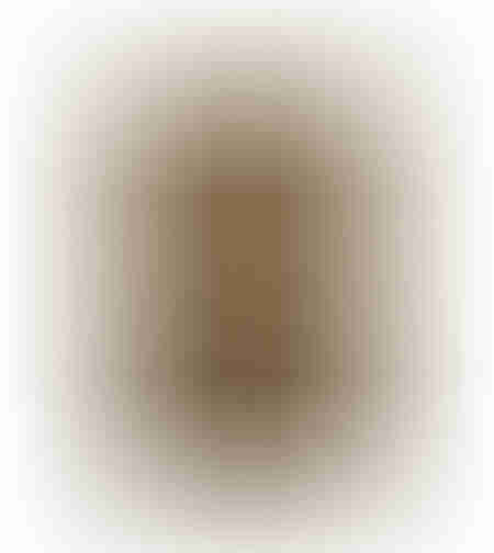 PLEXUS CARPET JUTE NATURAL BLACK 120x180 IN