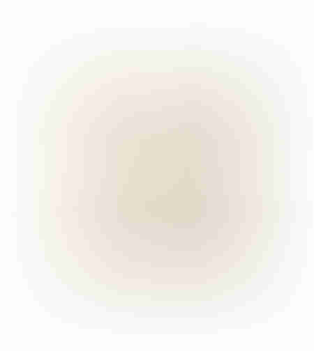 MORNINGTON DECOR CUSHION COTTON VISCOSE FROSTED 50