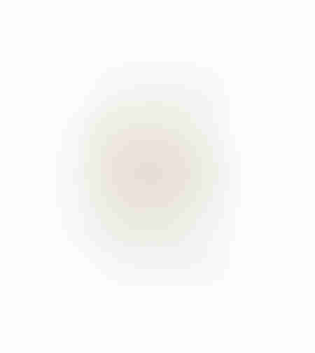 AROMA ESSENCE ARTIFICIAL FLOWER FOAM PVC BE GRE
