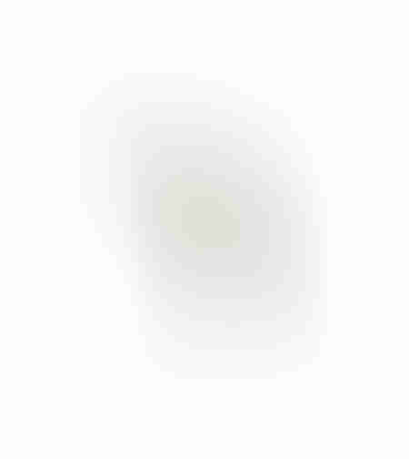 EUCALYPTUS BLOOMS ARTIFICIAL FLOWER FOAM GREEN H90