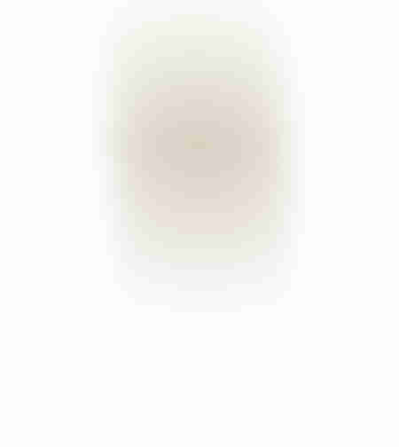 TERRE ARTIFICIAL BRANCH EVA FOAM GREEN PINK H110cm