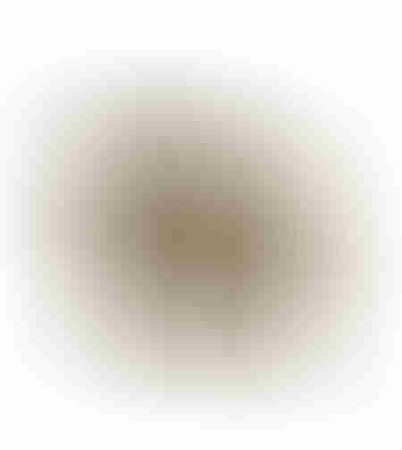 VINNY DECO ELEPHANT POLYRESIN BEIGE 22,8x10,8xH19,