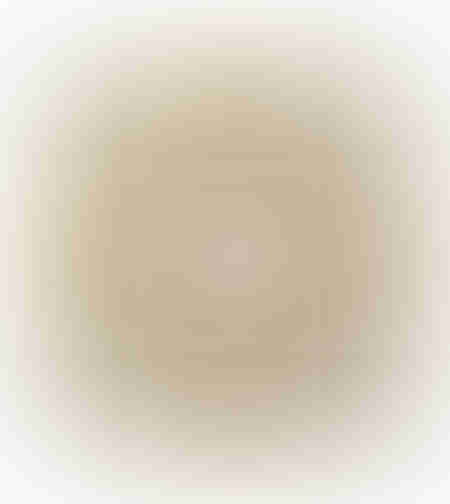 AMBITIUS 2 PAINTING CANVAS GOLD WHITE WOOD FRAME G