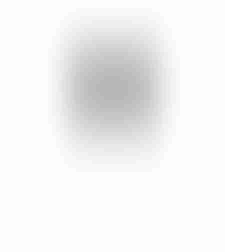 FEDER ARTIFICIAL BRANCH POLYESTER BLACK H110cm PRC