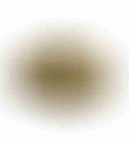 GRANTAS TRAY DECORATIVE 40x31x13 ALUMINIUM GOLD