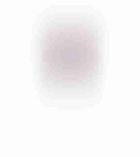 FEDER ARTIFICIAL BRANCH POLYESTER PURPLE H110cm PR