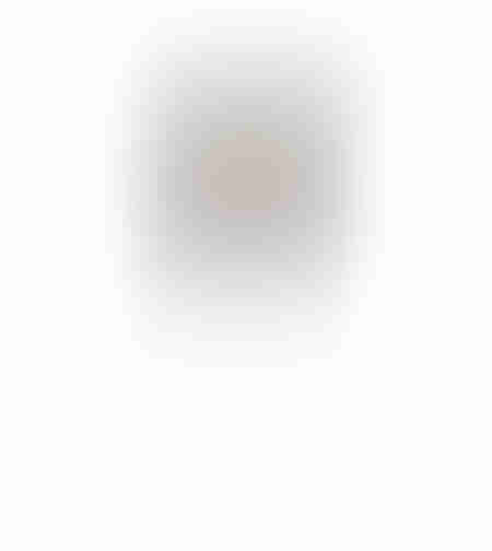 FEDER ARTIFICIAL BRANCH POLYESTER BROWN H110cm PRC