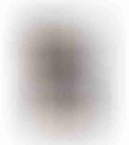 FUTURO CARPET LEATHER WOOL BLACK WHITE BROWN BEIGE