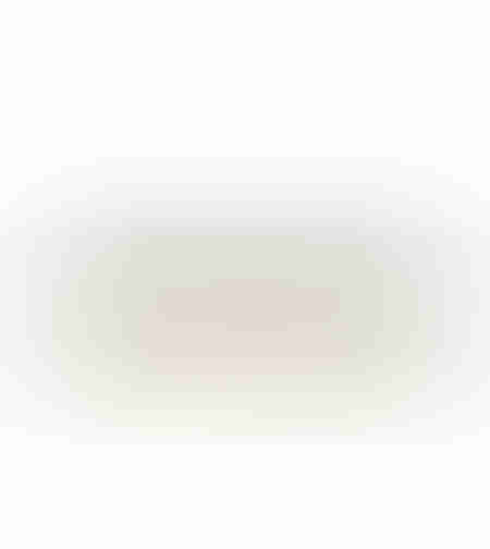 FLEURS BOWL SET 2PCS PORCELAIN BAMBOO WHITE NATURA