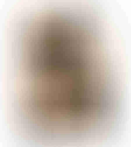 ANISA CARPET NATURAL BLACK WHITE 200x300cm IN