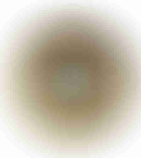 OJO MIRROR ALUMINIUM BRASS ANTIQUE 49x8x49
