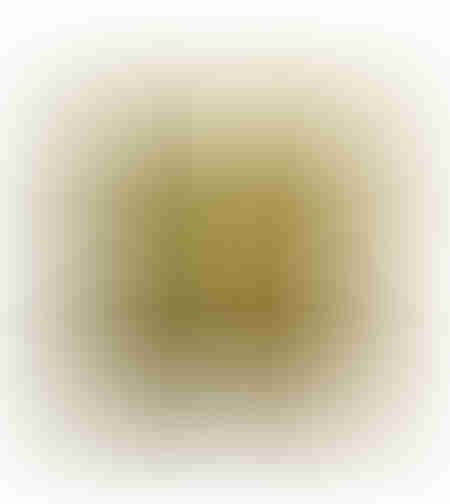 MORRIS DECOR CUSHION VELVET DIJON GOLD 45x45cm PRC