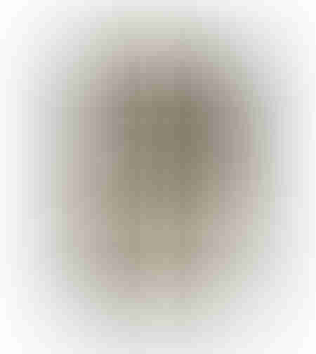 WILD SOUL 1 PAINTING MDF GOLD WHITE GLASS FRAME GO