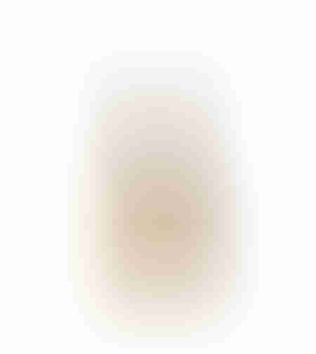 GINKO 5 DECO PINEAPPLE POLYRESIN NATURAL D15xH33,5
