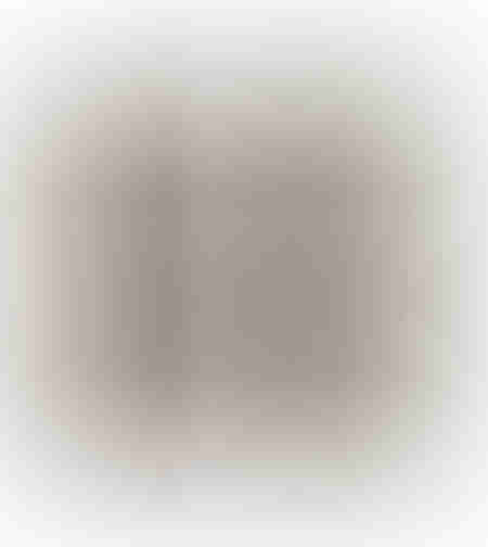 PURE NATURE 2 PAINTING FABRIC BEIGE GLASS FRAME NA