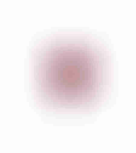 XMAS AMARYLLIS FLOWER POLYESTER RED WHITE D40cm PR