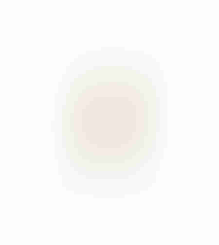 AROMA DELIGHTS ARTIFICIAL BRANCH FOAM PVC CREAM H7