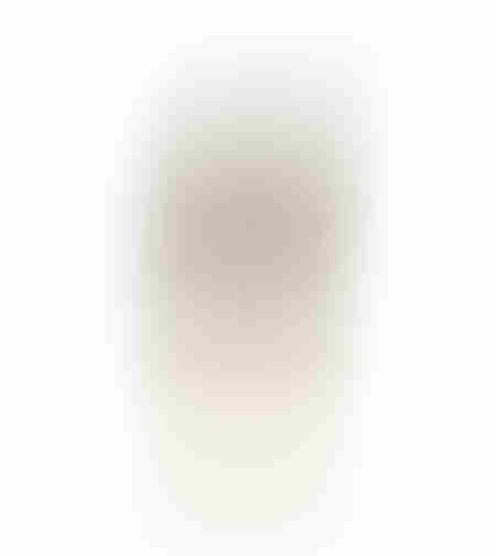 VOLE DECO FEATHER POLYRESIN GOLD ANTIQUE 14,5x11xH