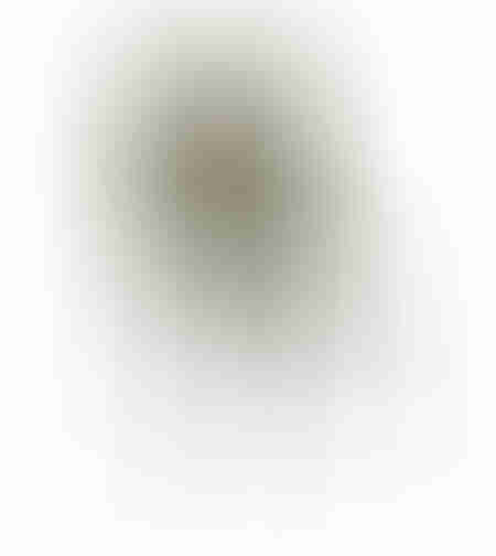 CARRE CHAIR FABRIC OLIVE GREEN METAL E1 PRC