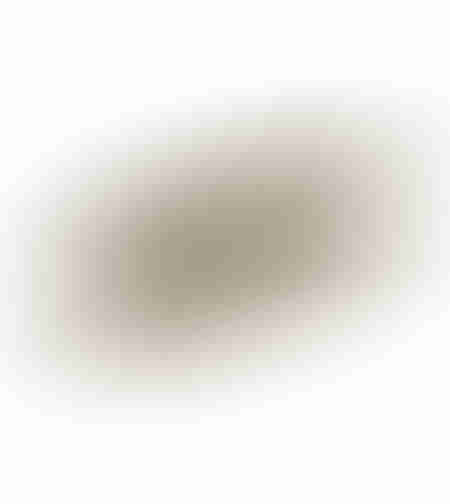 NEDD TRAY ALUMINIUM CHAMPAGNE 39x19xH2cm IN