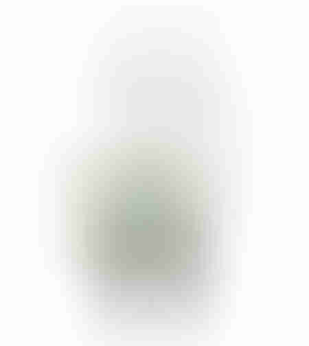 ORCHID 3 ARTIFICIAL PLANT PE/PP PEVA WHITE GREEN H